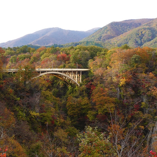 Narukokyo/Kaiko Bridge
